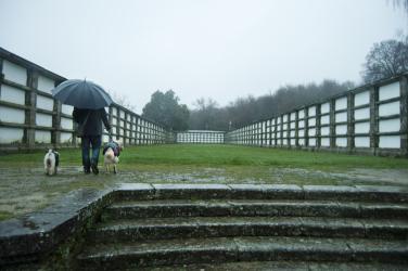 Cementerio de Bonaval