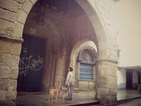 PicsArt_1383677369407