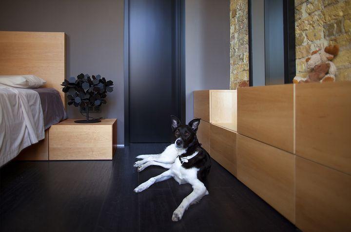 decoracion apartamento 11 Virginia Esber