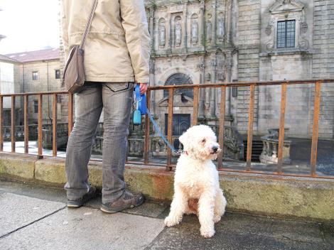 San Martín Pinario.