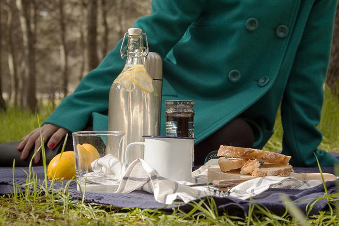 picnic-invierno