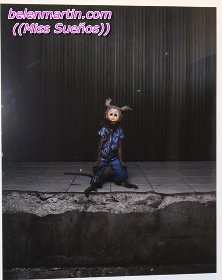 PHOTOGRAPHIC GALLERY HIPPOLYTE 146