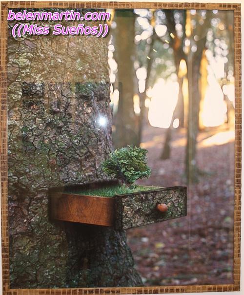 WASHINGTON SILVERA 252