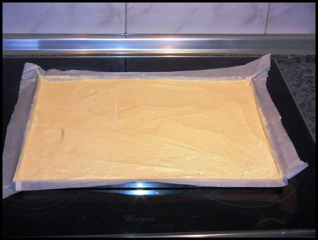 Brazo-de-gitano-003