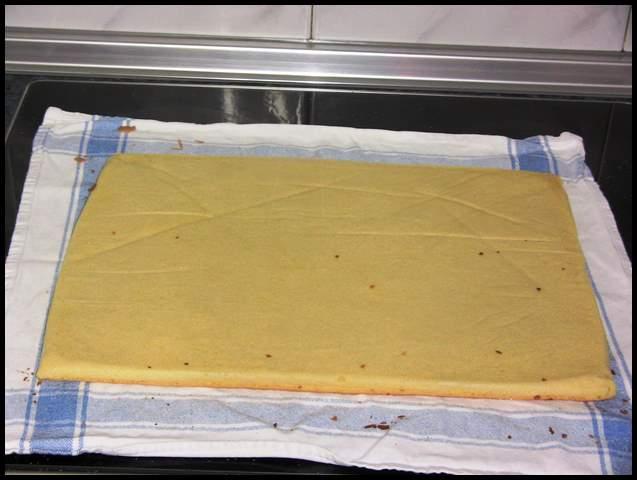 Brazo-de-gitano-004