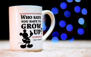 Disney Merchandising