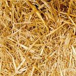 Cómo sorprender tu persona favorita en su cumple