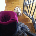 Vacaciones: lunes de limpieza profunda y cine