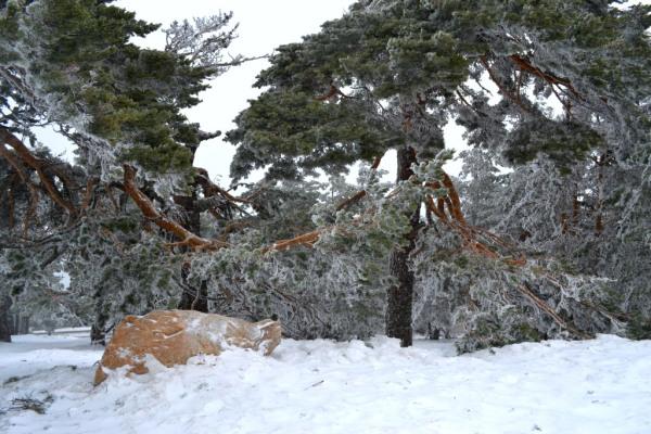 Puerto de Navacerrada, españa