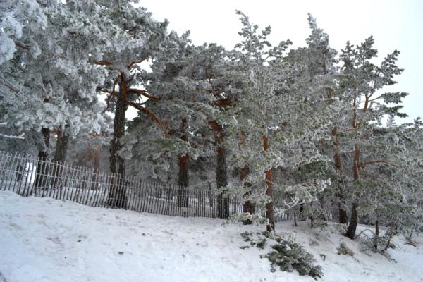 Puerto de Navacerrada, españa
