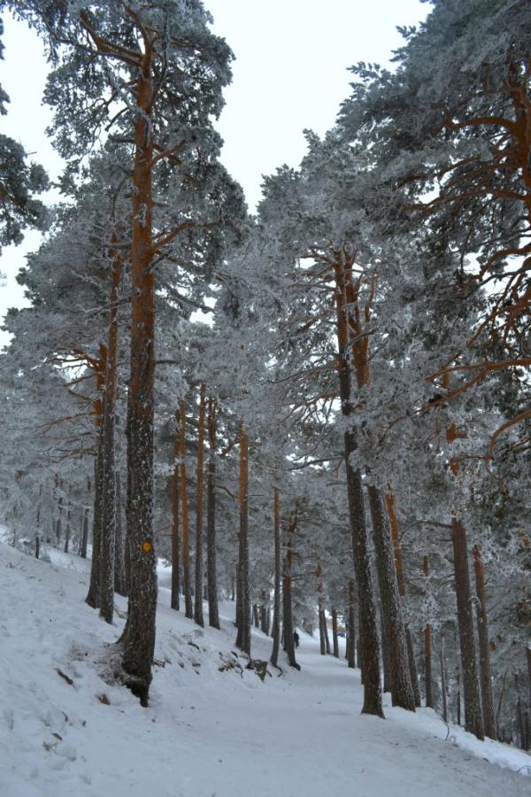 Puerto de Navacerrada, españa
