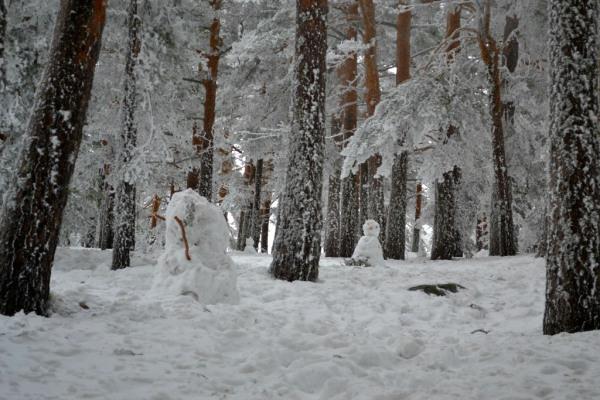 Puerto de Navacerrada, españa 