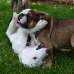 Sábado de posar antes de un picnic improvisado 