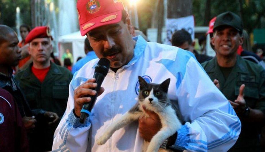 Hugo es el gato adoptado por Maduro