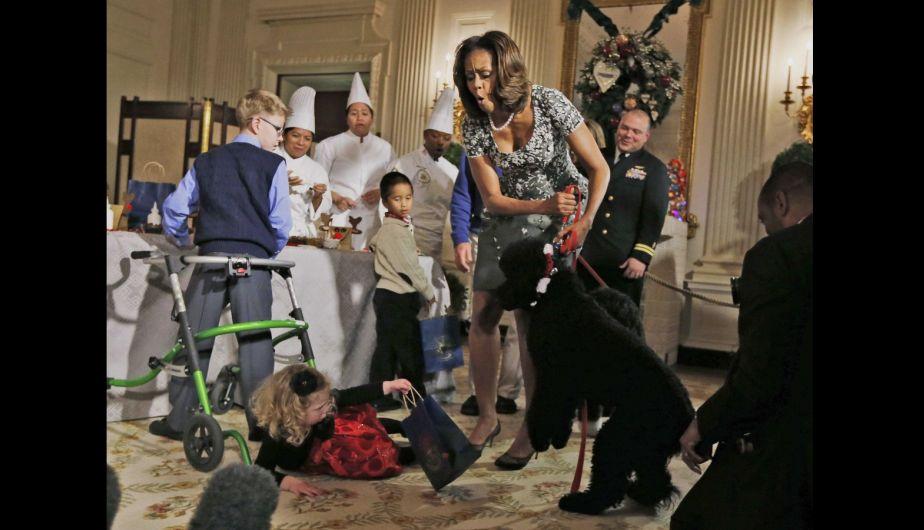 Imagen del gracioso momento que protagonizaron los perros de Obama en navidad