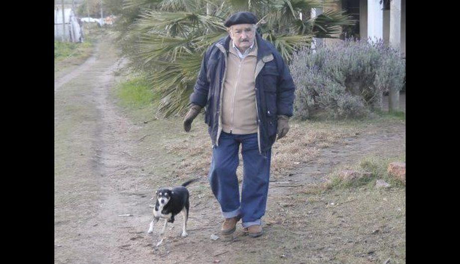 Manuela, la inseparable compañera de Mujica