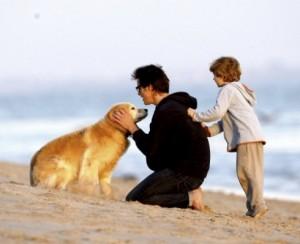 curiosidades perros famosos