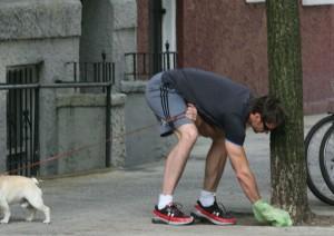 curiosidades perros famosos