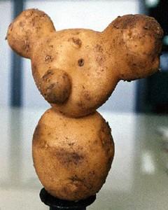 La patata koala