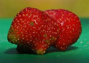 ¿Una fresa con cuatro patas?