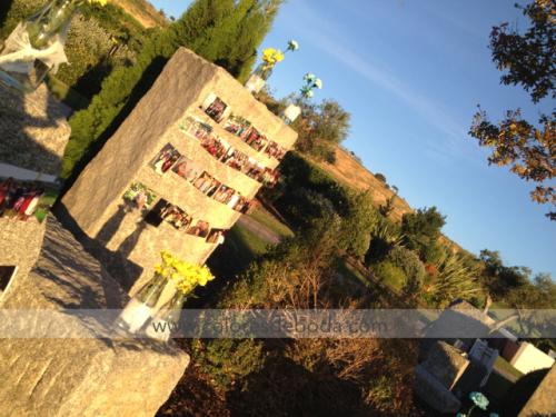 2-colores-de-boda-tendedero-fotos-rincon-recuerdos-4