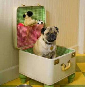 decorar con maletas antiguas 17