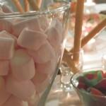 candybar juvenil y navideño