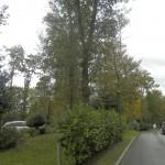 Feria Bodas Castillo Zoreda