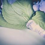 Boda new planner mirador de toró