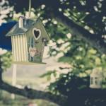 Boda new planner mirador de toró