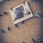 Boda new planner mirador de toró