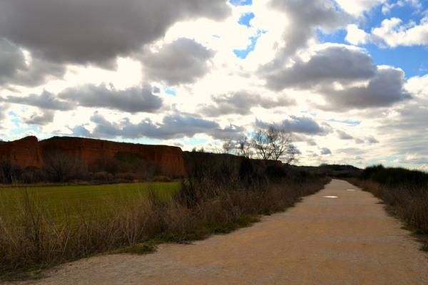 Camino y paisaje de Guadalajara