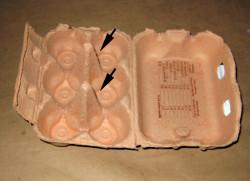 Flores-de-cartón-de-huevos-4