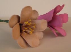 Flores con cartones de huevos