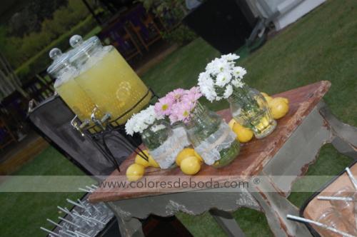 2-colores-de-boda-rincon-limonada-9