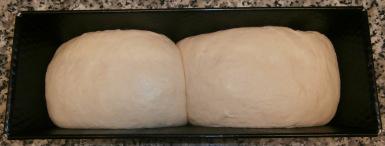 DESPUES DE FERMENTAR