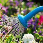 garden_watering