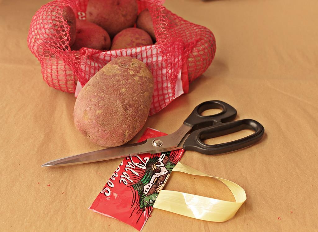 cortar la banda del asa