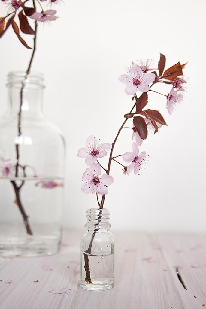 flores de primavera para decoración