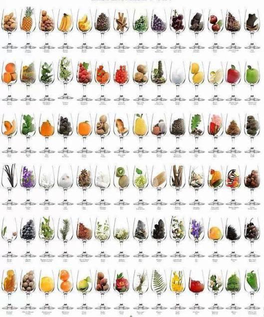 Aromas del vino