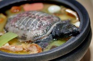 Guiso de tortuga con jamón