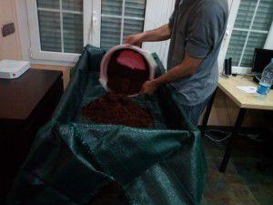 fibra de coco en mesa de cultivo