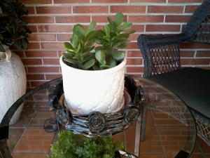 Cesto jardinera mini 2