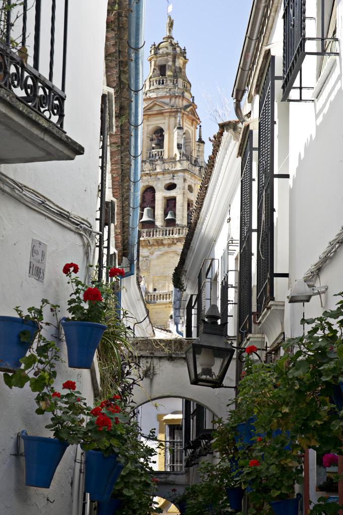 cordoba-calle-de-las-flores