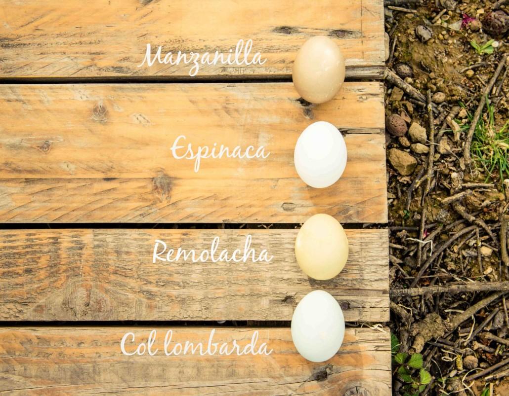 huvos teñidos con vegetales