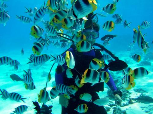 colores-de-boda-luna-miel-mares-del-sur-5