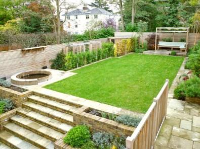 transitional-landscape