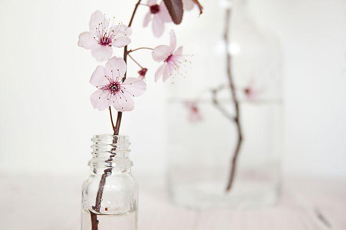 decoracion floral primavera