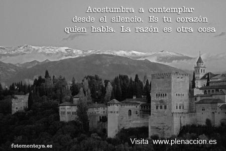 Foto-Emoción-Mindfulness-24 Alhambra 4