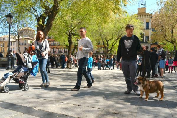 Toledo España Zocover